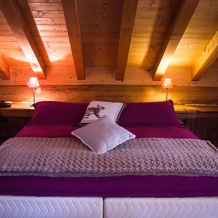 Hotel Ellex Eco